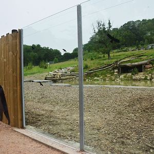 Polar Bear/Arctic Fox Complex at CERZA, 10/06/18