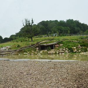 Polar Bear/Arctic Fox Complex at CERZA, 10/06/18