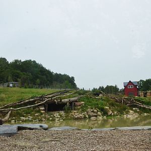 Polar Bear/Arctic Fox Complex at CERZA, 10/06/18