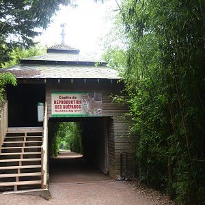 Cheetah Viewing Platform at CERZA, 10/06/18