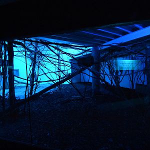 Nocturama - breeding centre