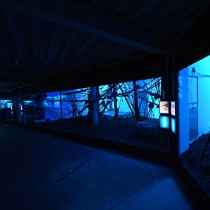 Nocturama - breeding centre