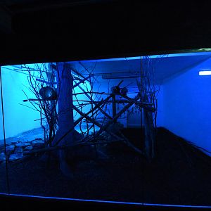 Nocturama - breeding centre