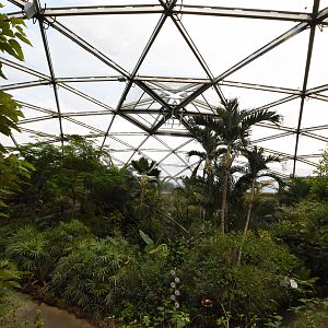 Butterfly dome
