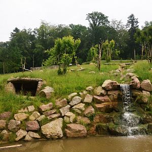 Brown Bear Enclosure at CERZA, 10/06/18