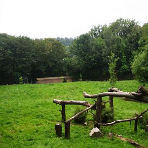White Tiger Enclosure at CERZA, 10/06/18