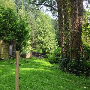 White-cheeked Gibbon Enclosure at CERZA, 10/06/18