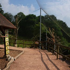 South American Aviary at CERZA, 10/06/18