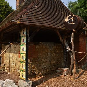 South American Aviary at CERZA, 10/06/18