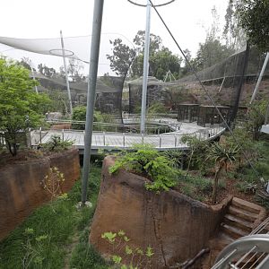 Africa Rocks overview