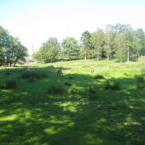 Hadsund Dyrehave - Main exhibit