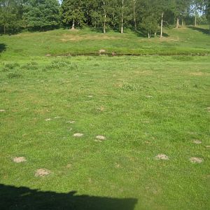 Hadsund Dyrehave - Main exhibit