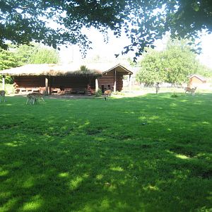 Hadsund Dyrehave - Main exhibit