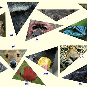 A riddle wrapped in a mystery inside an enigma . . . a new Photo Quiz