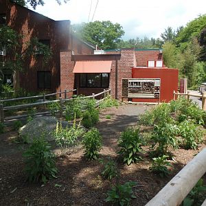 Butterfly Garden and Bug Hotel