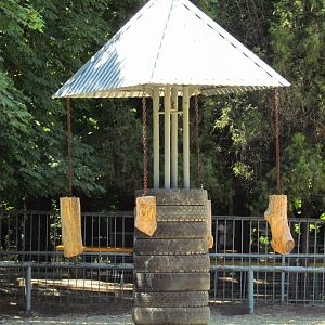 European bison enrichment