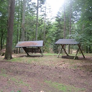 Slotved Skov Dyrehave - Feeding station