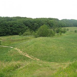 Slotved Skov Dyrehave - General view