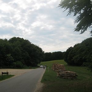 Slotved Skov Dyrehave - General view