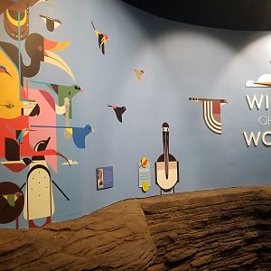 Jun. 2018 - New! Wings of the World Renovations - New Entrance Signage