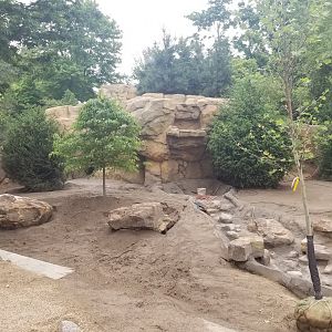 Jun. 2018 - New! Bald Eagle Exhibit (Near Finished)