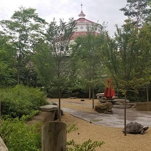 Jun. 2018 - New! Galapagos Tortoise Expansion