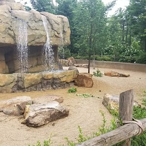 Jun. 2018 - New! Galapagos Tortoise Expansion