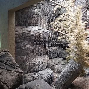 Jun. 2018 - New! Wings of the World Renovation - Mexico Exhibit