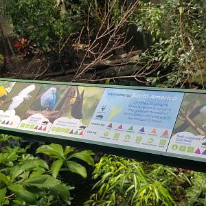 Jun. 2018 - New! Wings of the World Renovations - Newly Design Signs