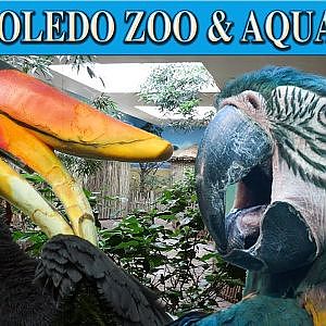The Aviary at the Toledo Zoo