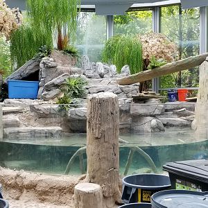 Jun. 2018 - National Amphibian Conservation Center - Future Giant Salamander Room