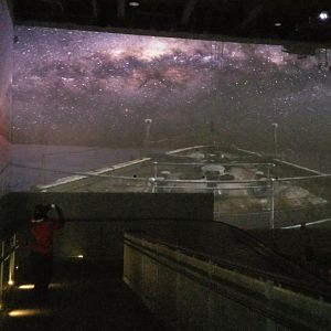 Jun. 2018 - Penguin Conversation Center - 4D Projected Ship Ride