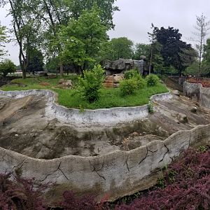 Jun. 2018 - American Grasslands - Wolverine Exhibit Panorama