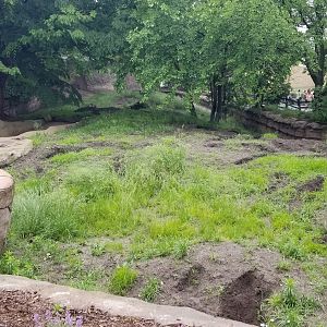 Jun. 2018 - African Grasslands - Massive Aardvark Exhibit