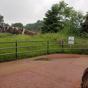 Jun. 2018 - Arctic Ring of Life - Polar Bear Exhibit Viewing