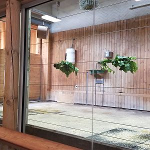 Jun. 2018 - African Grasslands - Indoor Masai Giraffe Facility