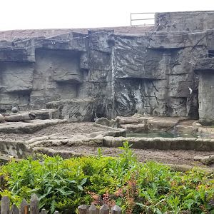 Jun. 2018 - American Grasslands - Empty Bear Exhibit