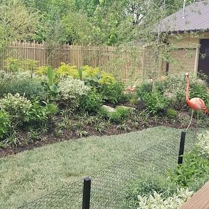 May. 2018 - Flights of Fancy: A Brilliance of Birds - New Walkthrough Flamingo Exhibit