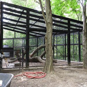 Primates of the World renovations: new outdoor area