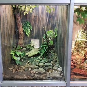 Jun. 2018 - Reptile Conservation Center - Eastern Box Turtle Exhibit