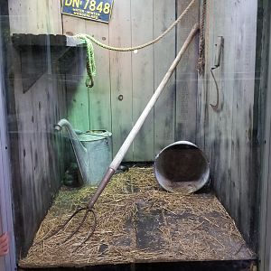 Jun. 2018 - Reptile Conservation Center - Black Rat Snake Exhibit