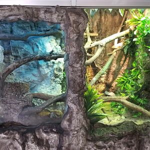 Jun. 2018 - Reptile Conservation Center - Jamaican Boa Exhibit