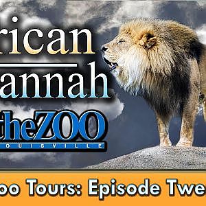 Zoo Tours Ep. 22: The African Savannah at the Louisville Zoo - YouTube