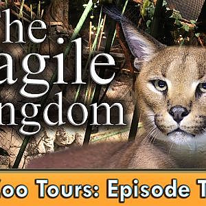 Zoo Tours Ep. 20: The Fragile Kingdom at the Brookfield Zoo (ft. Zoological Point) - YouTube