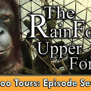 Zoo Tours Ep: 17: The RainForest: Part II: The Upper Forest - YouTube