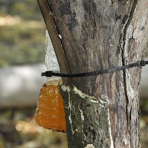 A Mysterious Orange Liquid