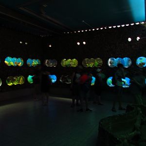 Aquarium interior