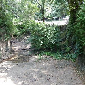 6/17/2018 - Former Crocodile Exhibit (Foreground) and Black Rhino Exhibit (Background)