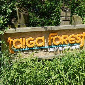 6/17/2018 - Taiga Forest Sign