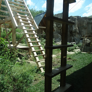 Jun. 2018 - Marine Mammals - New! Long-tailed Macaque Exhibit